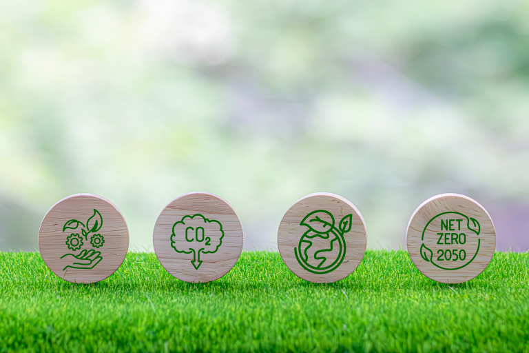 5 Common Myths About Eco-Friendly Products/Materials